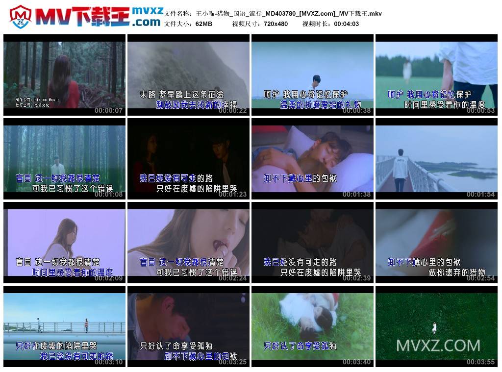 王小喵-猎物_国语_流行_MD403780